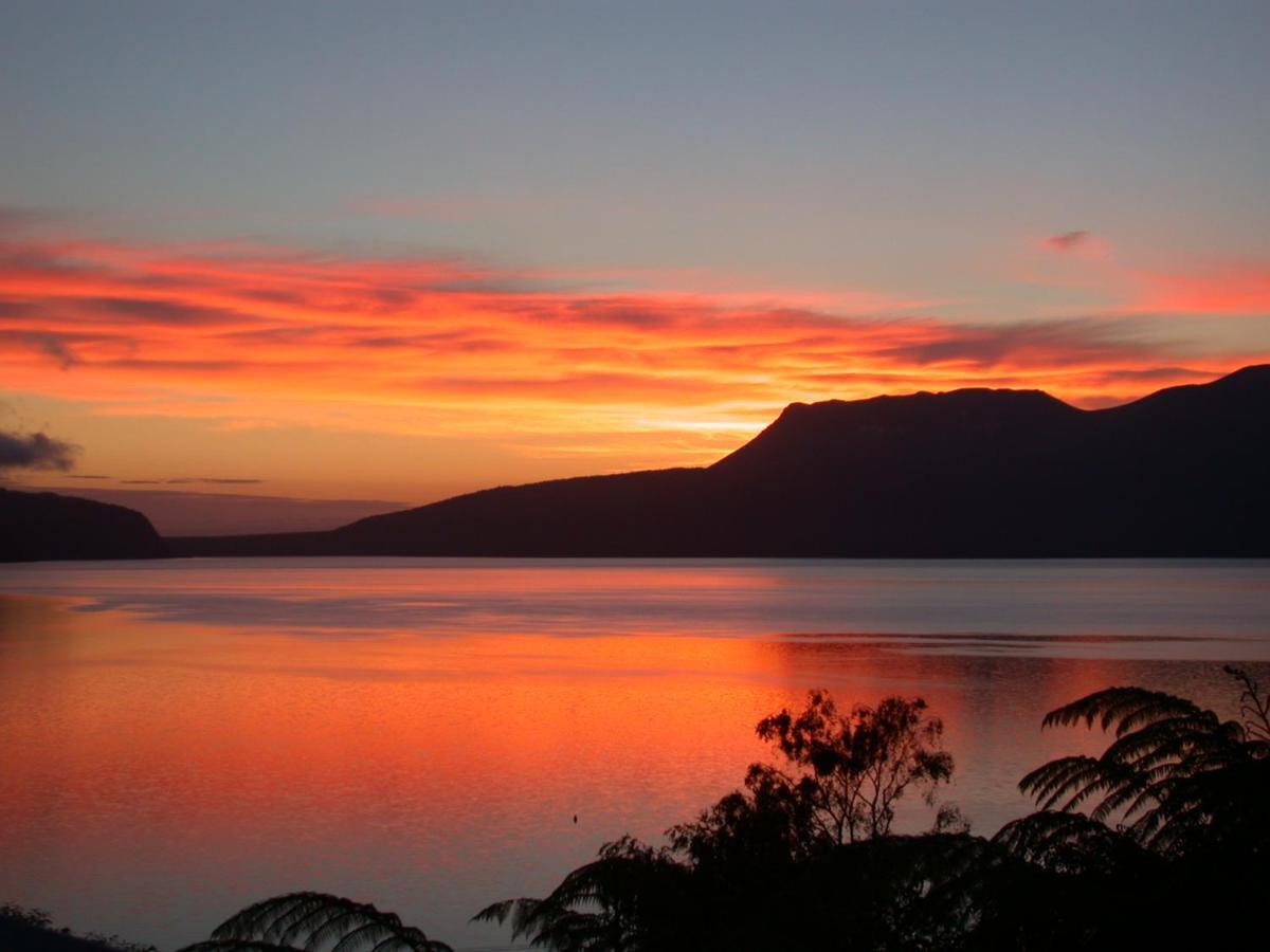 Hotel Te Whare -Lake Tarawera Tree-Top Nest Exterior foto